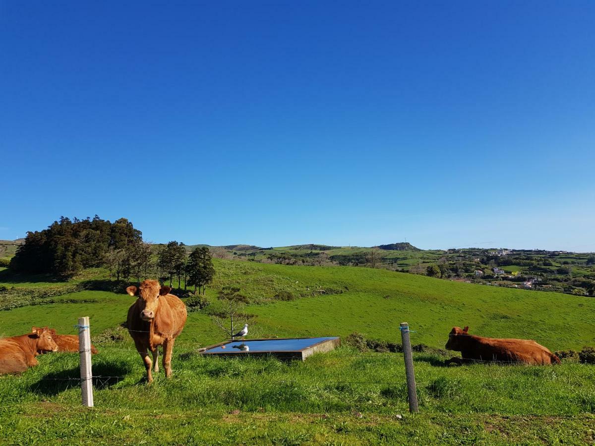Quinta Do Calvario Lajes das Flores Bagian luar foto